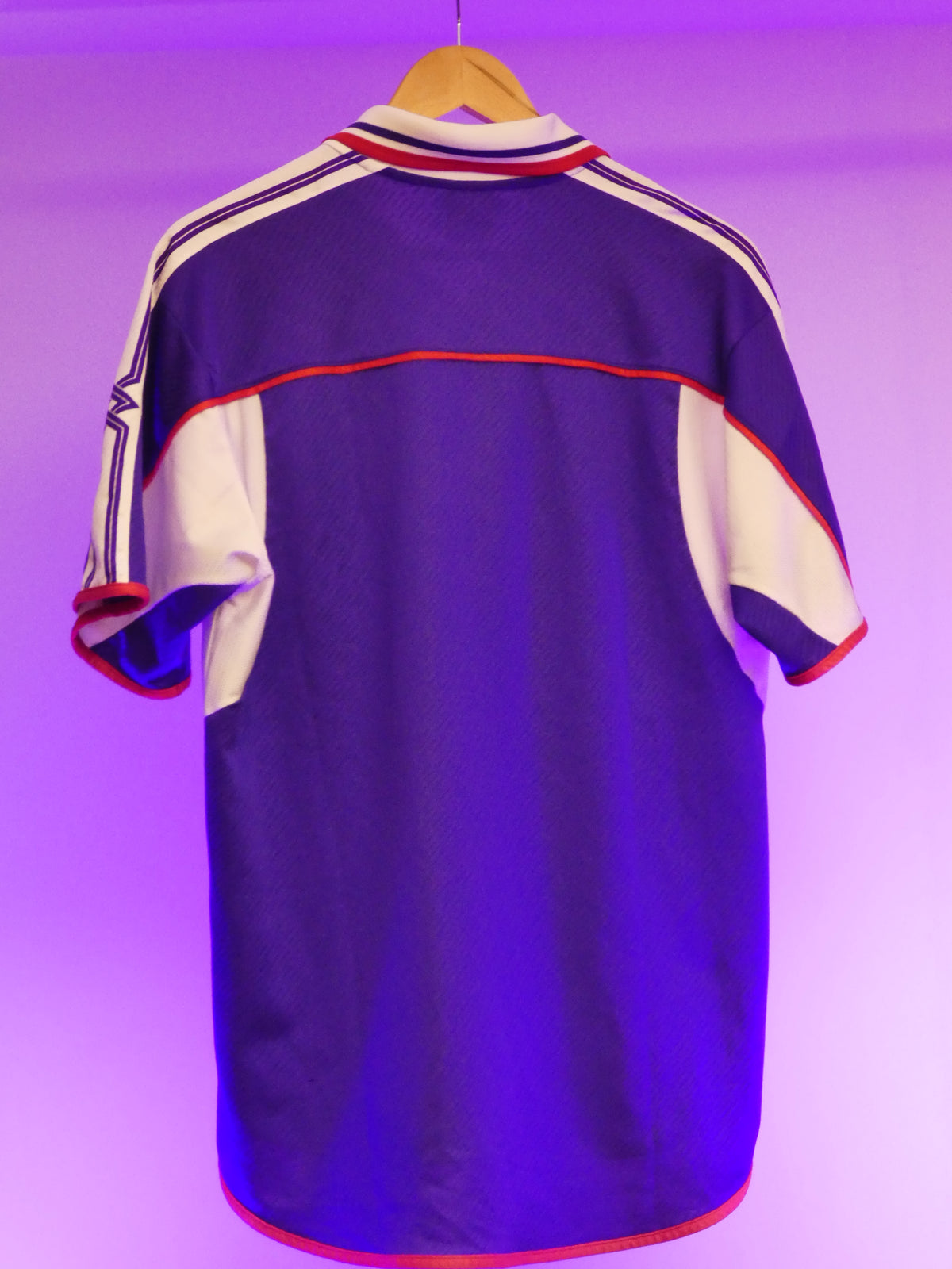 Fiorentina 2001/2002 Home Shirt (L)